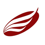 American Eagle Financial Credit Union logo