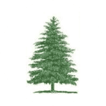 Pine Island Bank logo