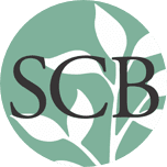 SoyBank Anywhere - Personal logo
