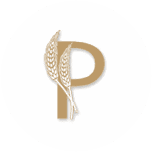 The Bank of Protection logo