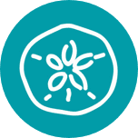 Coastline FCU logo