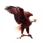 Bank of Wisconsin Dells - Personal logo