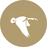 Lake Sunapee Bank logo