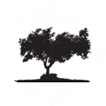 Olive View Federal Credit Union logo