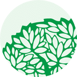 First Federal Lakewood logo