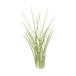 First National Bank of Sedan logo