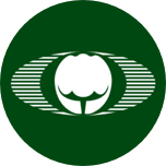 The First State Bank (Abernathy, TX) logo