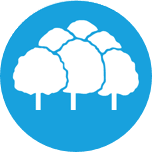 Bell Bank logo