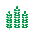 First Farmers & Merchants Bank (Austin, Brownsdale, Sargeant - MN) - Business logo