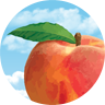 Peach State Federal Credit Union logo