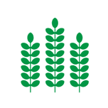 First Farmers & Merchants Bank (Fairmont, St. Paul - MN) - Personal logo