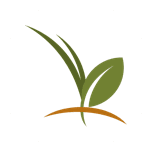 First Farm Bank - Personal logo