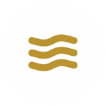 Roanoke Rapids Savings Bank, SSB - Personal logo