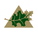 Franklin American Mortgage Company logo