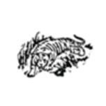 First National Bank in Tigerton logo