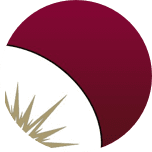 Citywide Banks logo