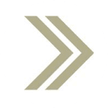 First National Bank Minnesota - Personal logo