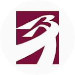 Broker Dealer Financial Services Corp. - Client Account Access logo