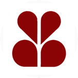 Brady National Bank logo