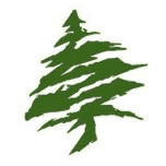 CedarStone Bank logo