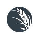 First Clearing - David A. Noyes & Company logo