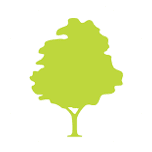 Family First FCU logo